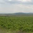 files_5dde95c485671.jpg